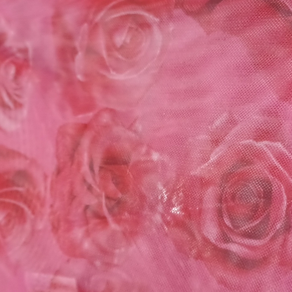 SHEIN SIZE 0XL Shear Pink Rose Tube Top - Picture 3 of 7